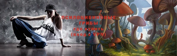 бошки Чердынь
