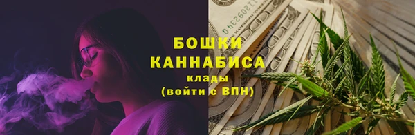 мдпв Гусь-Хрустальный