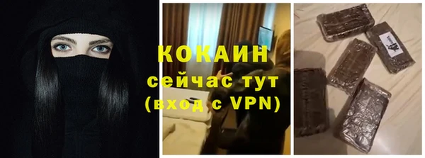 мдпв Гусь-Хрустальный