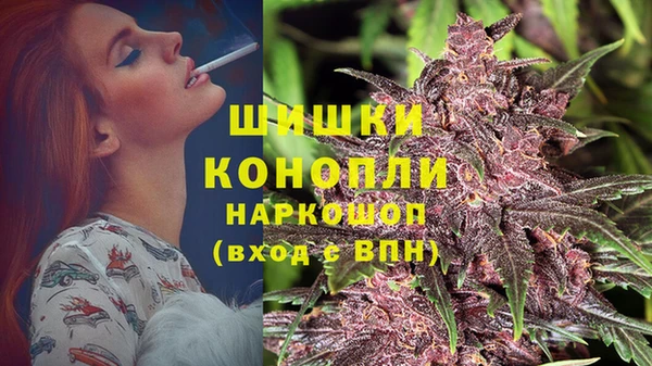 амф Крымск