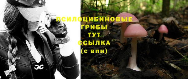 герыч Гусиноозёрск