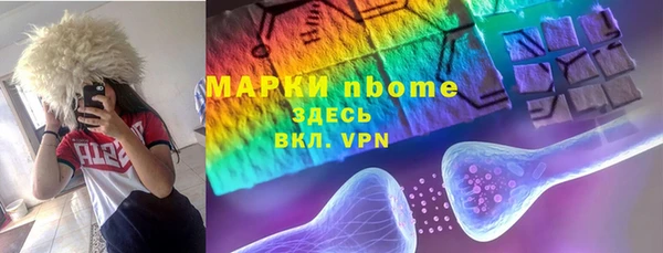мдпв Гусь-Хрустальный
