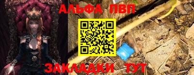 стаф Берёзовский