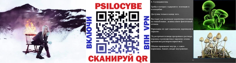 Псилоцибиновые грибы Psilocybe  Вязники 