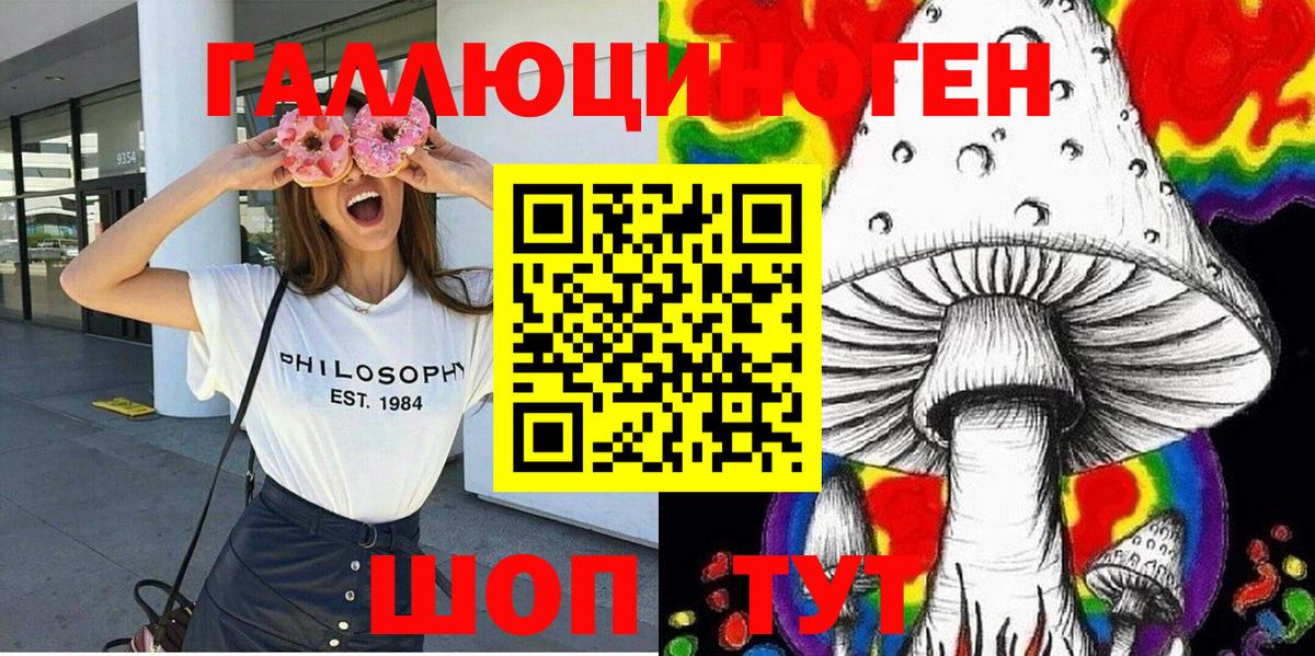 Псилоцибиновые грибы Psilocybine cubensis  Вязники 